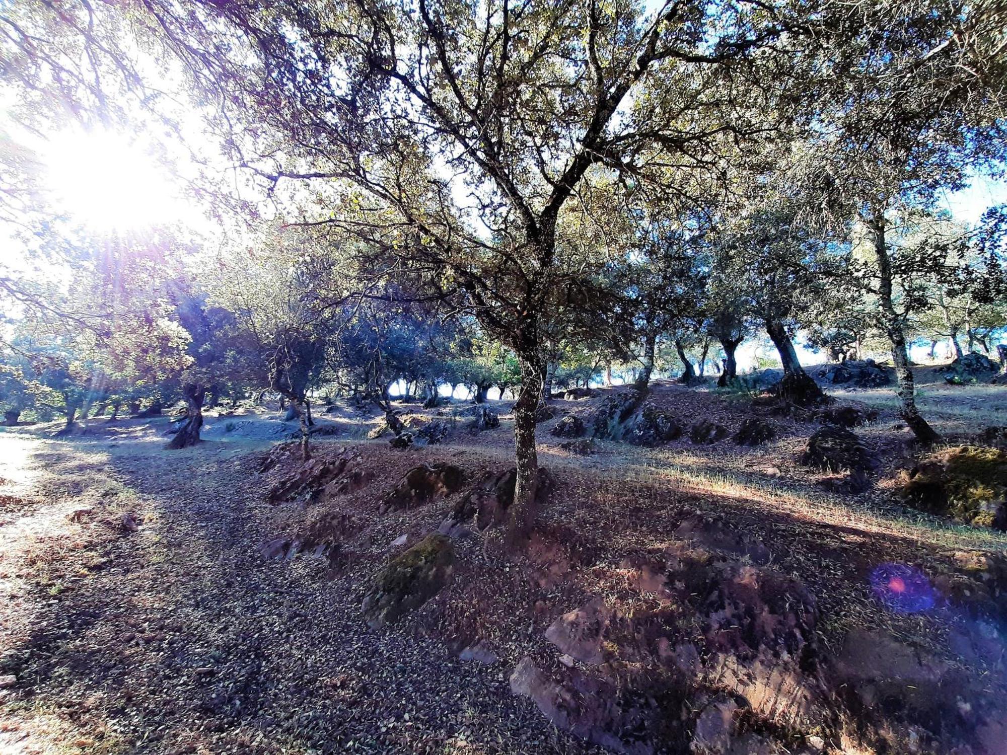 Casa Rural Gurumelo اراسنا المظهر الخارجي الصورة